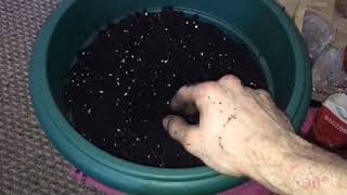 Sponsored Nutrients From BioTabs - Organic Soil Prep Tutorial