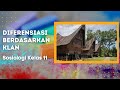 Sosiologi Kelas 11 - Diferensiasi Klan