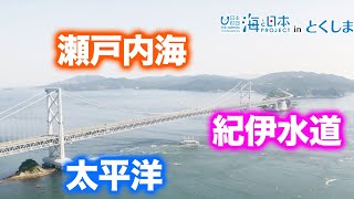 徳島は３つの海を持っている！ 日本財団 海と日本PROJECT in とくしま 2021 #08