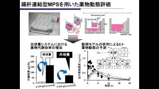 腸肝連結型MPSを用いた薬物動態評価