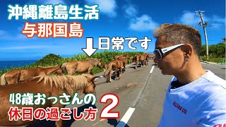 【沖縄離島生活】与那国島の休日の過ごし方2 〜馬で道が封鎖されてます‼︎