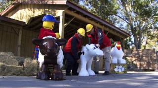 Farm Animals arrive at Legoland Florida for Duplo Valley