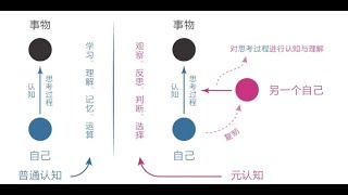 迷茫、生气、拖延、懈怠？元认知来帮忙《认知觉醒 》第三章第一节