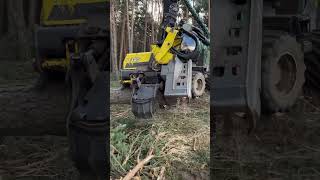 “Unleashing the beast:Harvester ultímate performance #lumberjack #harvester #tree#forest #johndeere