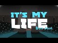 Bon Jovi - It's My Life (Lyric Video)