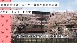 ベランダからお花見！？『藤森駅徒歩３分の好立地　メゾン・チェリーF号室』