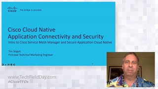 Cisco Cloud Native Application Connectivity and Security Solutions