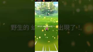 Pokémon Go:幼基拉斯社群日,超巨大二星色違幼基拉斯#pokemongo