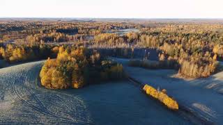 First frost | Первые заморозки - Parrot Bebop