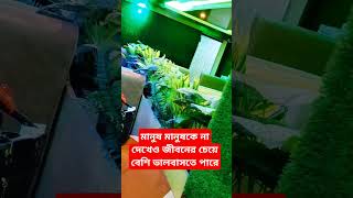 মানুষ মানুষকে না দেখেও #মানুষ #love #বিশ্বাস #trending #mimrasel #reality #shorts #short #shortvideo