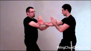 Wing Chun Hun Sau Explained