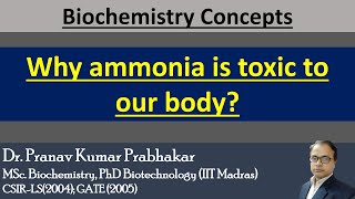 Why ammonia is toxic to our body? Why ammonia is toxic to our brain?