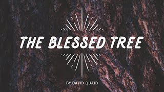 The Blessed Tree (LIVE)