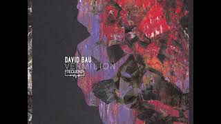 Premiere : David Bau – They Are Coming for You(Frequenza Records)