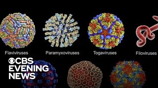 Inside the CDC's efforts to track new COVID variants