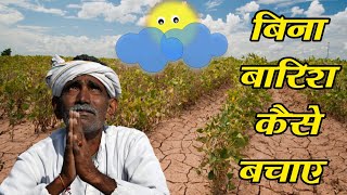 बिना बारिश के फसल को कैसे बचाए । Agriculture water stress