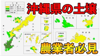 【農業者必見】沖縄県の土壌について！国頭マージ，島尻マージ，ジャーガルについて解説！土の特徴や作りやすい作物など！！