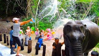 Volunteer with Elephants - work with elephants - Reach Out Volunteers