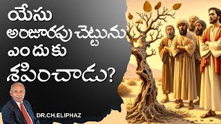 యేసు అంజూరపు చెట్టును ఎందుకు శపించాడు? | #cursing #figtree #drcheliphaz #2024sermon