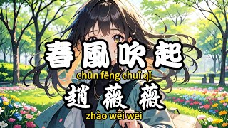 趙薇薇 - 春風吹起『春風吹起想到你 卻讓我亂了心』【繁體拼音動態歌詞Lyrics】【CC字幕】