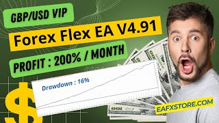 Backtest EA | Forex Flex EA V4.91 MT4 Review | FX STORE EA