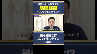 【スパイラルライン】続き…他のラインも知りたい方はコメント欄から本編へ #姿勢評価 #アナトミートレイン #筋膜