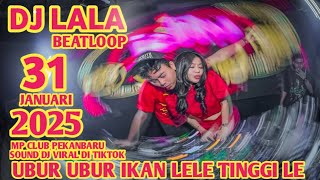 #VIRAL UBUR UBUR IKAN LELE TINGGI LEE DJ LALA 31 JANUARI 2025 MP CLUB PEKANBARU (MECELLO58)