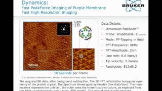 Fast scanning atomic force microscopy PeakForce Imaging of Purple Membrane