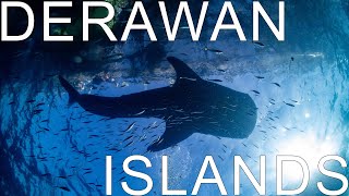 Derawan Islands on the Raja Ampat Aggressor