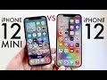 iPhone 12 Vs iPhone 12 Mini In 2024! (Comparison) (Review)