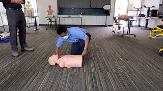 Check for Response Pulse and Breathing