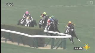 20250201 競馬ﾚｰｽﾄﾋﾟｯｸ　06【圧勝!】'25京1-1-6R T1800 3未勝利 フェアリーライク