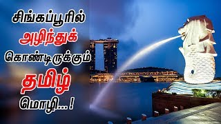 சிங்கப்பூரில் அழிந்துக்கொண்டிருக்கும் தமிழ் மொழி! | Tamil Language Is Diminishing In Singapore!