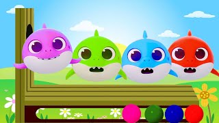 Baby Shark Learns Colors | CoComelon Nursery Rhymes \u0026 Kids Songs #7