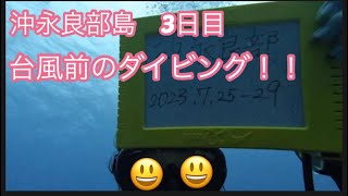 【一人旅】沖永良部でダイビング！！