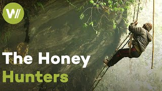 Harvesting honey from giant bees, the most dangerous in the world | Master of Bees (Himalaya)