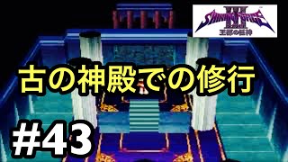 【実況】シャイニング・フォースⅢ シナリオ1 王都の巨神  #43