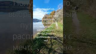 Выбирай правильный путь #цитаты #природа