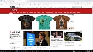 Web Programming 1 Chapter 10 Lecture Project Management, Domain Names, and Hosting - Fall 2019