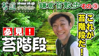 #51【鎌倉苔散歩】その３　必見！妙法寺の苔階段