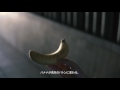 ドール バナナメッセージ／バナペン®登場篇 dole banana message banapen promotion movie short ver.