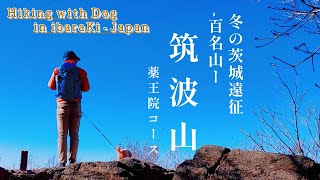 日本百名山の筑波山へ ❘ 登山犬と茨城へ遠征ハイクに行ってきましたの巻 【DAY-1】