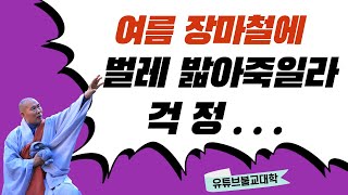 [불교] 우학스님 생활법문 (하안거, 동안거가 왜 생겼을까?)