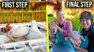 How to Process Chickens on Your Farm [Complete Step By Step Guide]