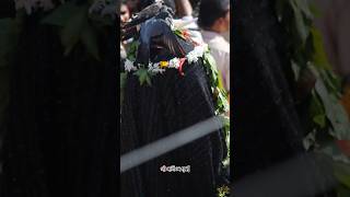 Maa Manikeswari Chatar Jatra Bhawanipatna New YouTube Short #maamanikeshwari #viralreels #trending