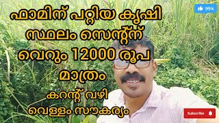 #57#പാലക്കാട് ജില്ലയിൽ അമ്പലപ്പാറ പഞ്ചായത്തിൽ ഫാമിന് പറ്റിയ 4 ഏക്കർ സ്ഥലം #lowbudget #realestate