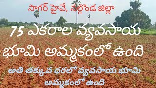 75 ఎకరాల భూమి అమ్మకంలో ఉంది#investment #agriculture #trending #farming #reels #comedy #youtubeshorts