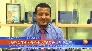 የኢትዮጵያ አየር መንገድ ከአገልግሎቱ የማገኘው ገቢ በ3 እጥፍ ሊያድግ ይችላል አለ