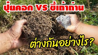 ปุ่ยคอก vs ขี้เถ้าถ่าน ต่างกันอย่างไร? ใช้อย่างไรพืชได้ประโยยน์สุด? มาฟังเฉลยกัน