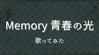 【#歌ってみた】Memory 青春の光 / モーニング娘。【#Vtuber #夢宮春歌】